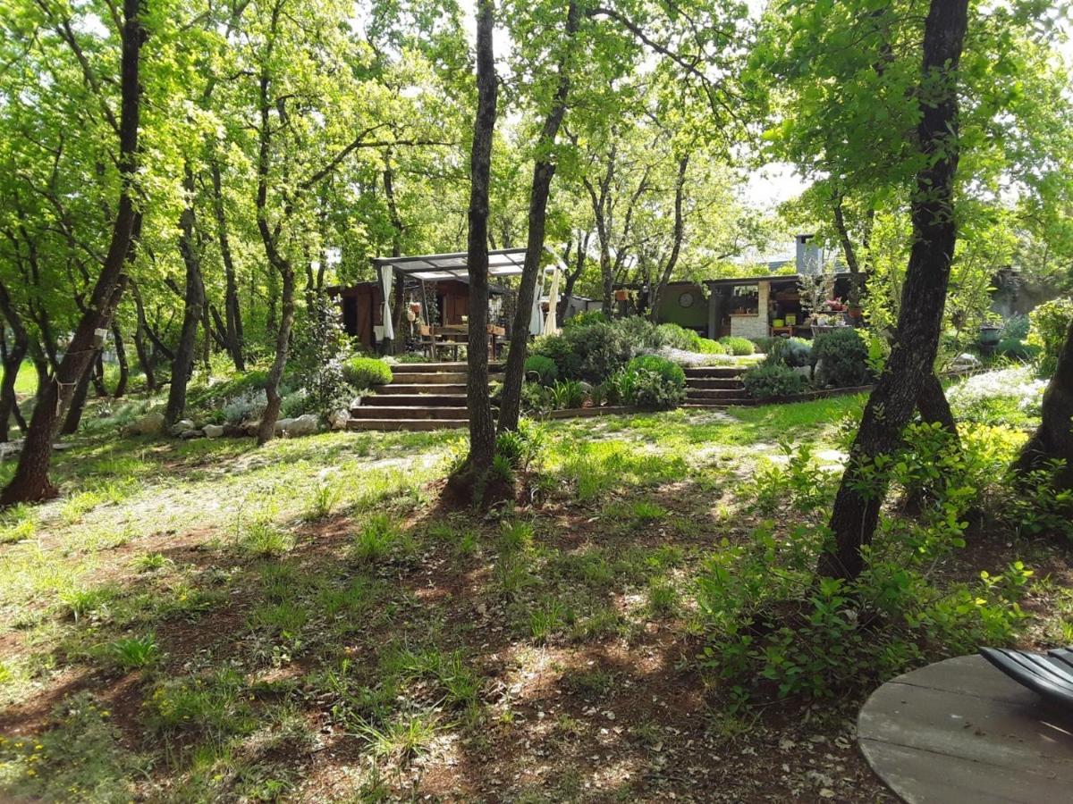 Apartments Bijou With Big Private Garden Near Umag Vilanija ภายนอก รูปภาพ