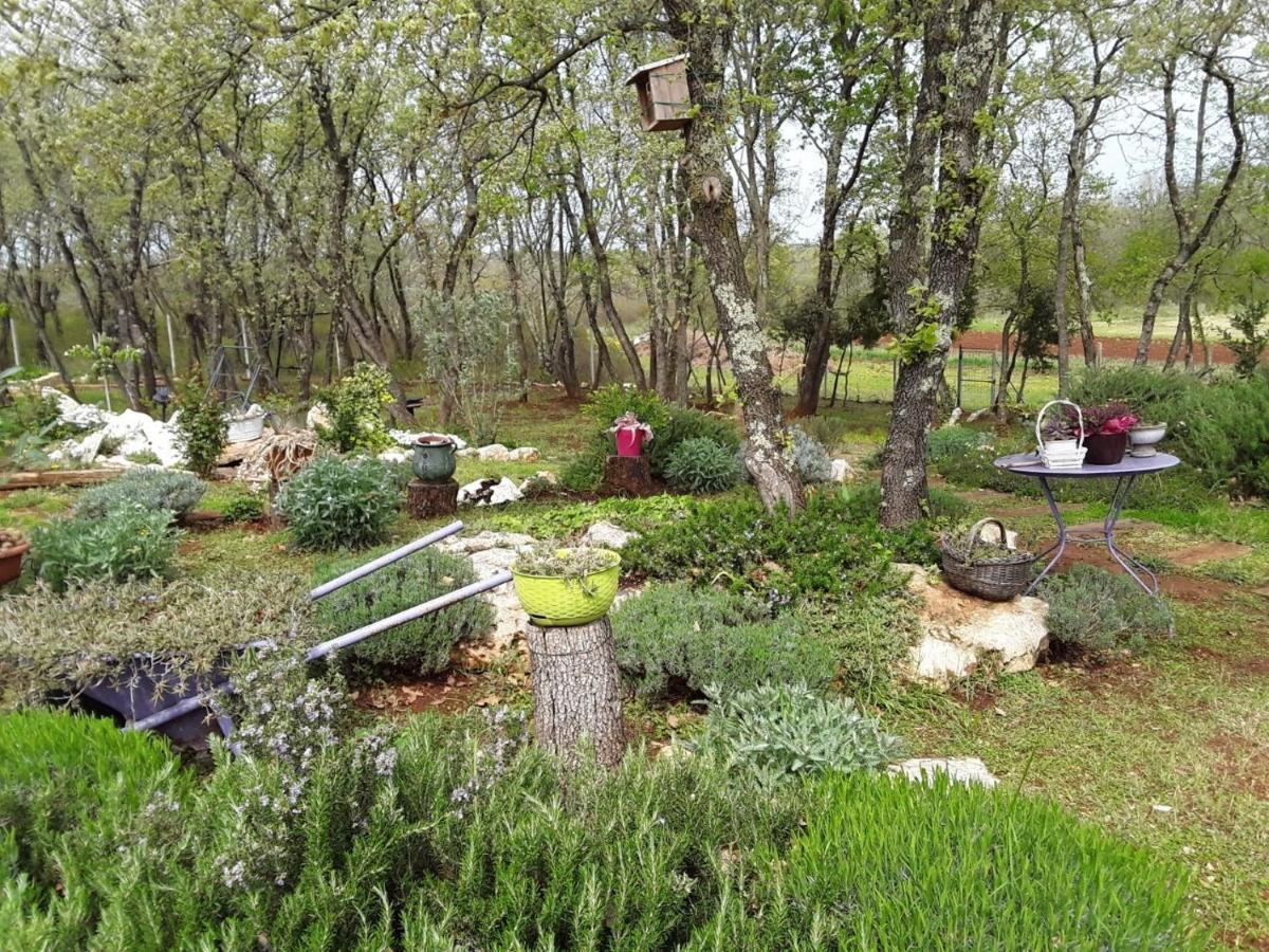 Apartments Bijou With Big Private Garden Near Umag Vilanija ภายนอก รูปภาพ